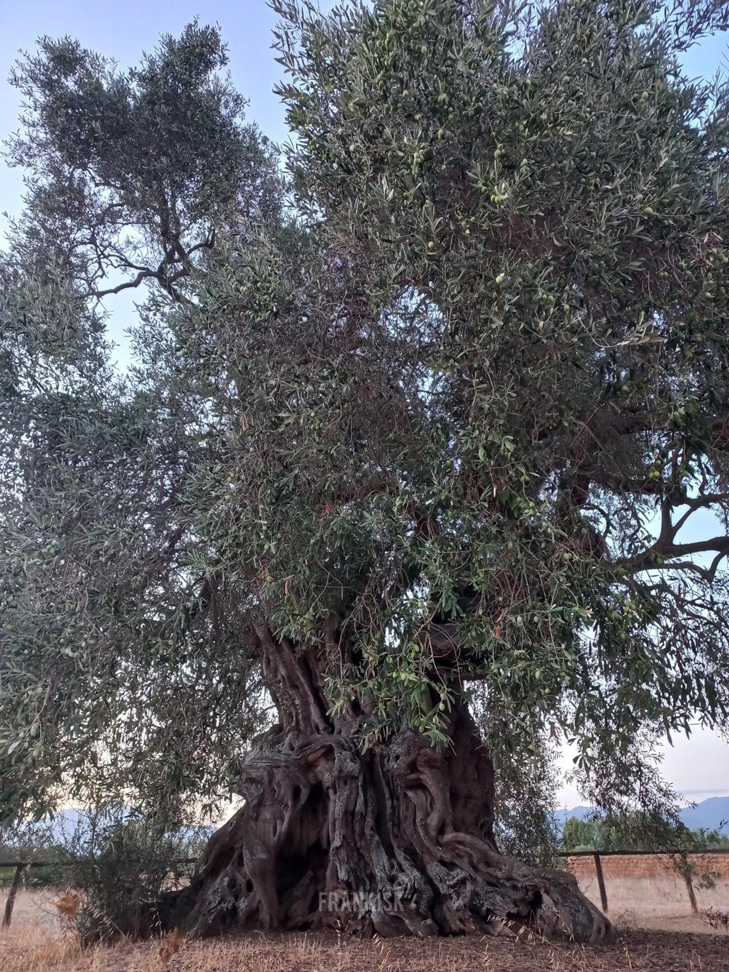 Отель Is Brebus Villamassargia Экстерьер фото